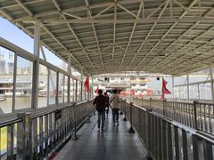 -武汉关码头(轮渡站)