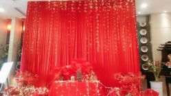 -保定金沙芝柏婚礼策划