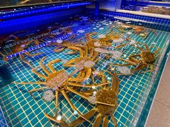 -驻海渔市(置信店)