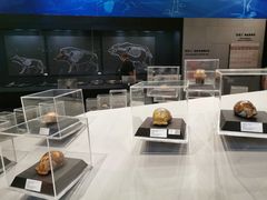 -北京周口店北京人遗址博物馆