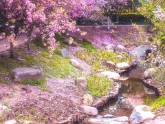 -莫愁湖公园