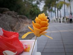 -国际邮轮中心码头(厦鼓码头)