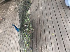 -临沂动植物园