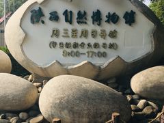 -陕西自然博物馆