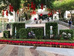 -人民公园(罗湖区)