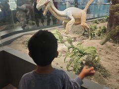 -辽宁古生物博物馆
