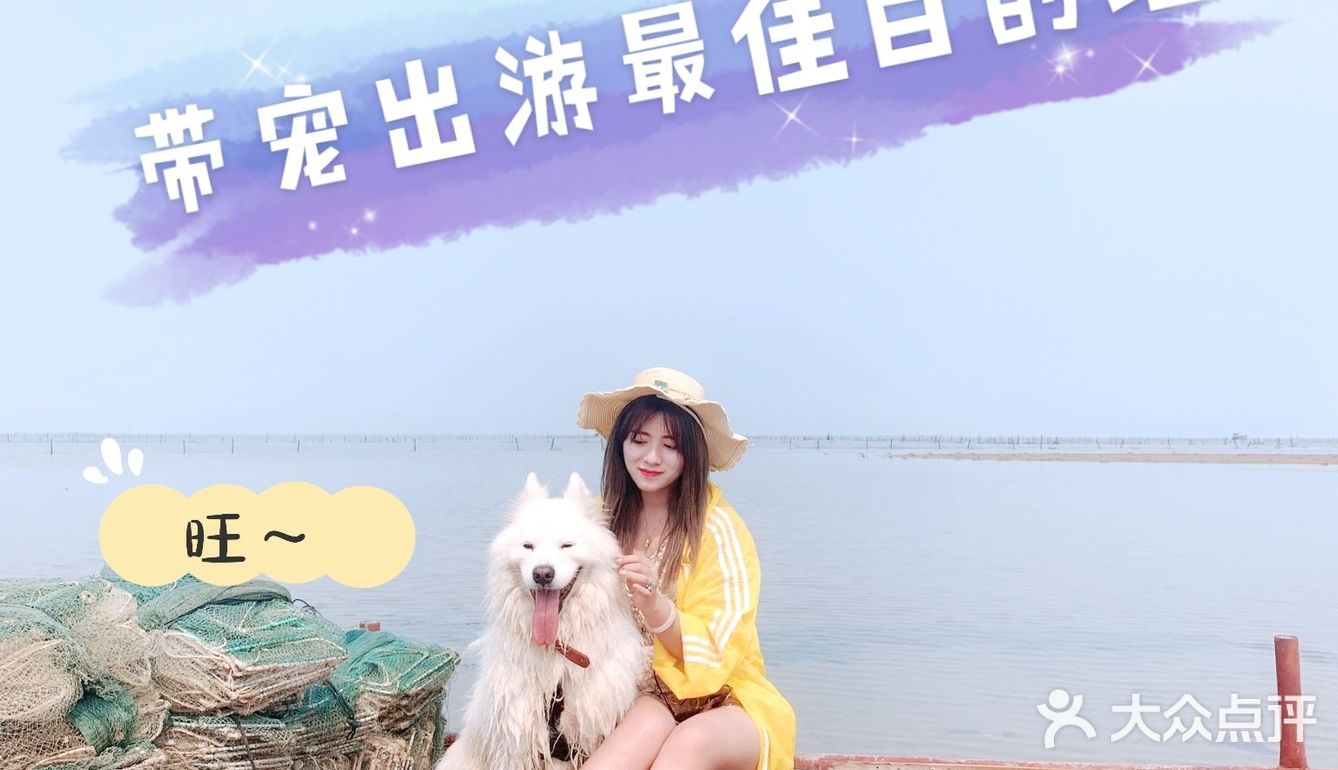 说走就走🌞拖家带狗🐶