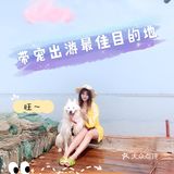 说走就走🌞拖家带狗🐶