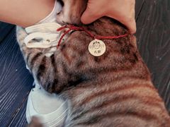 -叁 Three· bistro餐酒馆