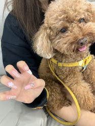 -斯馨·健康美甲美睫