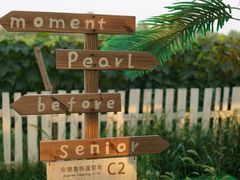 -安德鲁户外烧烤帐篷营地(马泉营店)