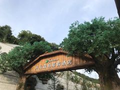 -杭州开元森泊度假乐园