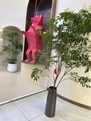 点击看大图 -明氧肌肤氧颜所·海菲秀·LDM·INDIBA体验中心