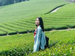 -优游吧斯邹族文化部落