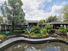 -大亚湾红树林城市湿地公园