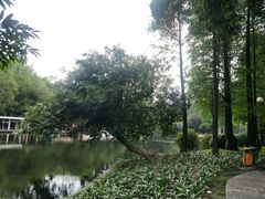 -晓港公园