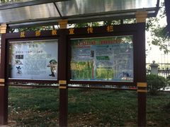 雁湖公园-雁荡山雁湖景区