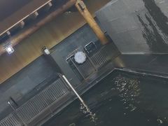 -嘉佑温泉水世界
