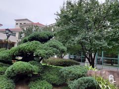 -上海虹桥迎宾馆