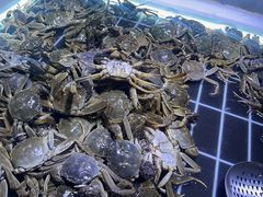-聚盛源蒸汽海鲜火锅烤肉自助(巨川金海岸购物广场店)