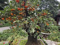 -成都杜甫草堂博物馆