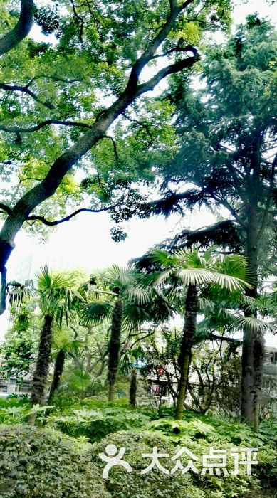 波阳公园图片 - 第5张