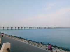 -宝安西湾红树林湿地公园