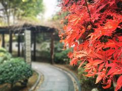 -嘉兴清池酒店温泉