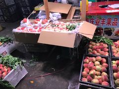 -双福水果批发市场