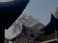 -何园