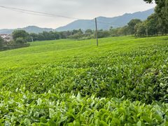 -敬亭山风景名胜区