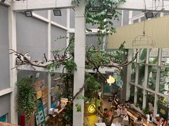 -正佳雨林生态植物园