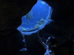 -香港海洋公园