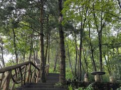 -蝶舞清江·恩施云顶景区(黄鹤峰林)