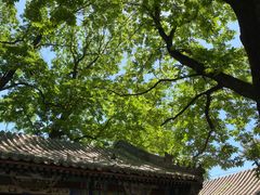 -潭柘寺景区