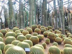 -南山植物园