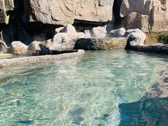 -北黄海温泉度假村