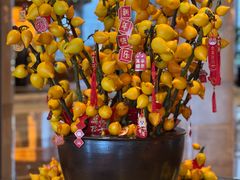 -济南喜来登酒店