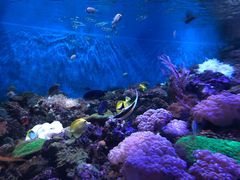 -成都浩海立方海洋公园