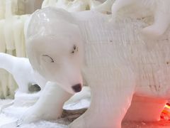 -宁波冰雪大世界(北仑区)