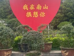 -南山植物园