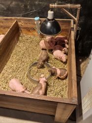 -酷嗒动物文化乐园(cutezoo西溪乐天城店)