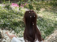 -南通洲际绿博园