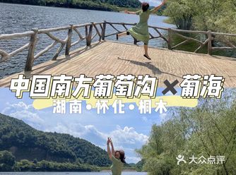怀化周边游｜中国南方葡萄沟️葡海