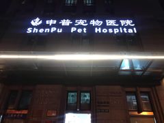 -申普宠物医院·心脏介入·心血管微创(总院)
