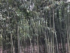 -南京市江宁方山