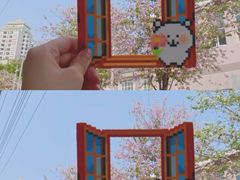 -溪岸路花鸟市场