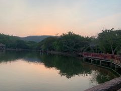 -清迈夜间动物园