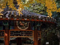 -月坛公园