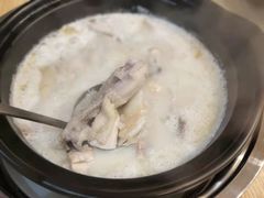 -喜上喜鸡煲翅(吉大店)